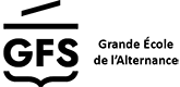 Logo GFS — Groupe Formation Systèmes